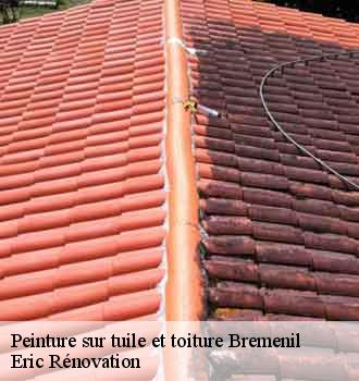 peinture-sur-tuile-et-toiture