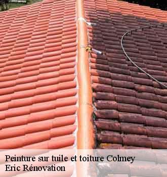peinture-sur-tuile-et-toiture