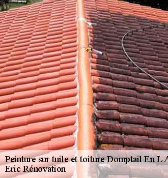 peinture-sur-tuile-et-toiture