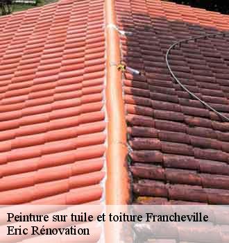 peinture-sur-tuile-et-toiture