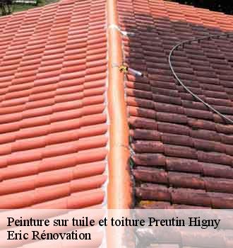 peinture-sur-tuile-et-toiture