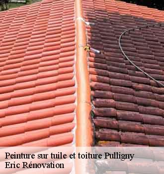 peinture-sur-tuile-et-toiture
