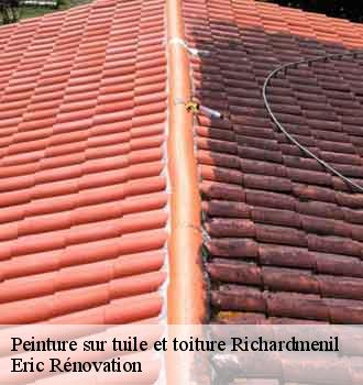 peinture-sur-tuile-et-toiture