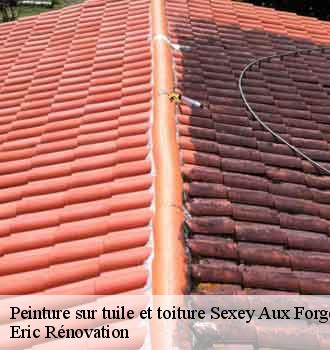 peinture-sur-tuile-et-toiture