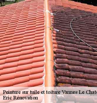 peinture-sur-tuile-et-toiture
